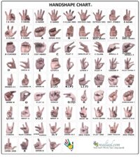 I Love You in Sign Language